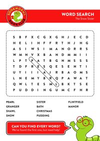 The Snow Sister – Word Search